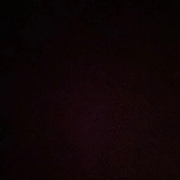 Lilly Pulitzer Colorful EASTER Plush Bunny - Picture 4 of 6